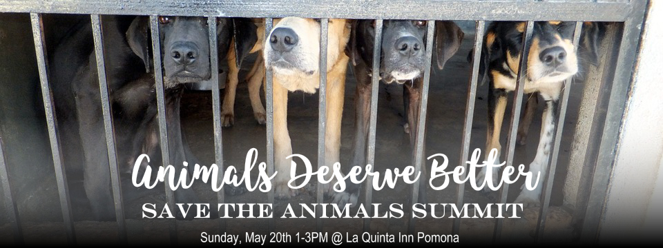 Animals Deserve Better: Save the Animals Summit.